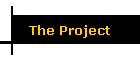 The Project