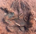 Hoard - surface clean